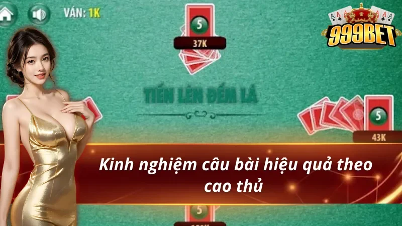 Kinh nghiệm câu heo và kiểm soát lượt trong tiến lên đếm lá